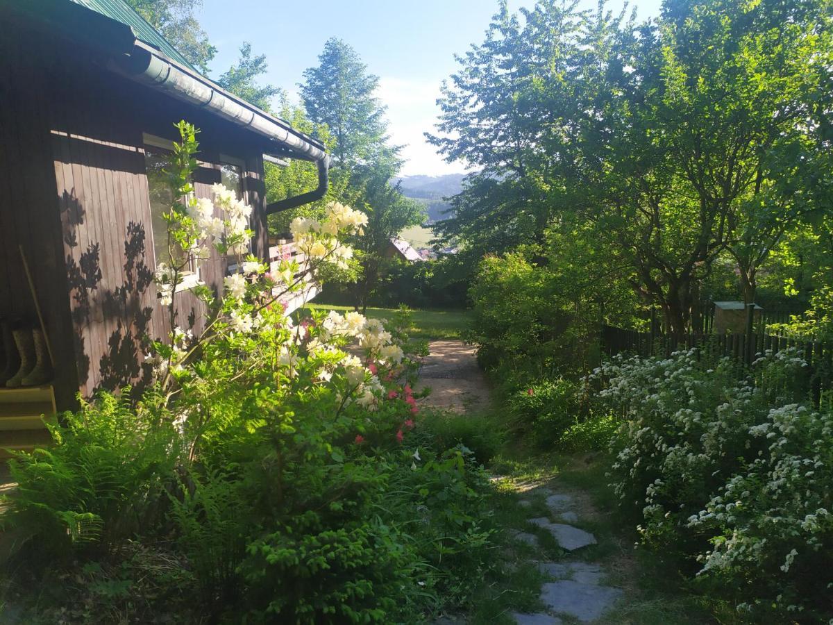 Chata Na Poskle U Lesa S Vyhledem Hutisko Kültér fotó