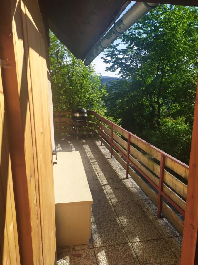 Chata Na Poskle U Lesa S Vyhledem Hutisko Kültér fotó